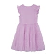 thumbnail image 2 of Wonder Nation Toddler Girls Tutu Dress, Sizes 12M-5T, 2 of 6