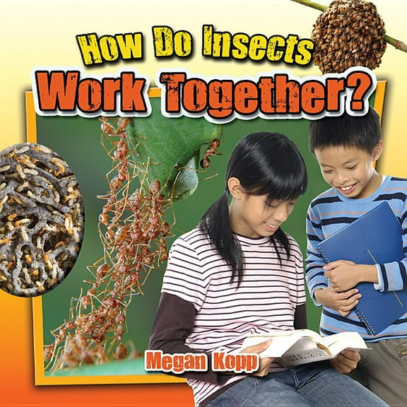 Insects Close-Up: How Do Insects Work Together? (Paperback)