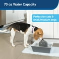 thumbnail image 3 of PetSafe Drinkwell Seascape Ceramic Pet Fountain, Dog & Cat Water Bowl, 70 oz, 3 of 7