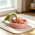 thumbnail image 4 of Yhmxh Ceramic Bird Feeding Bowl, Cute Bird Food Dish, Splatter Proof Parrot Cockatiel Feeder Dish, Heavy Base Ceramic Bird Feed Bowl for Small Medium Parrots Pet Bird Cage Daily Feeding Supplies, 4 of 6