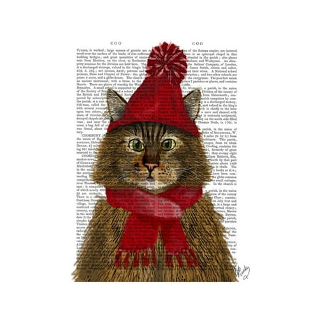 - Maine Coon Cat Print Wall Art By Fab Funky