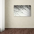 thumbnail image 3 of Trademark Fine Art Beata Czyzowska Young Her Wishes Canvas Wall Art - 12x19, 3 of 3