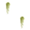 thumbnail image 3 of Matsuzay Fondo de pared artificial Flores colgantes Planta Vid falsa Cumpleaños Balcón Decoración Regalos de inauguración Suministro para oficina Type1 NO1 Matsuzay CBP487886, 3 of 6