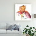 thumbnail image 3 of Trademark Fine Art 'Blooms Hermanas III' Canvas Art by Leticia Herrera, 3 of 4