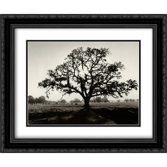 Oak Tree, Sunrise 2x Matted 24x20 Black Ornate Framed Art Print by Ansel Adams