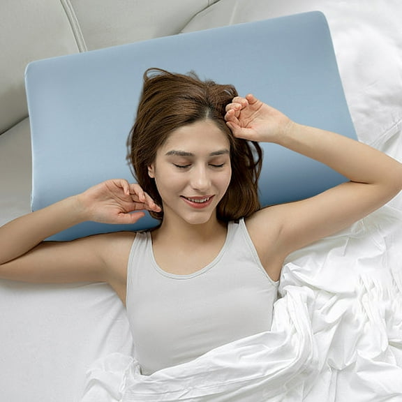 HOZVOMI Waterproof Pillowcase, Antibacterial Memory Foam Pillow Cover, 15.74x23.62in, Breathable & Hypoallergenic, Light Blue