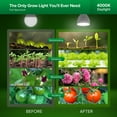 thumbnail image 4 of SANSI PAR25 24W LED Grow Light Bulb, 300W Equivalent Full Spectrum Plant Light Lamp, E26 Base, 1-Pack, 4 of 6