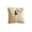 1# B, variant on Dmlowu Fall Pumpkin Pillow Covers for Couch, Soft Plush Corduroy Embroidered Pillow Cases for Thanksgiving Halloween Decorations, Warm Autumn Orange, 18 x 18 inch