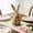 H, variant on Easter Bunny Decor 30cm Easter Golden Rabbit Figurine Spring Tabletop Decoration