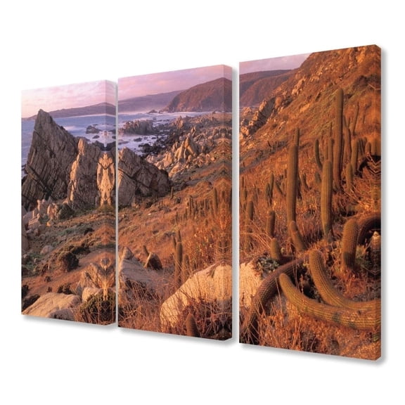 The Stupell Home Decor Collection South American Coastline and Cacti at Sunset Canvas Wall Art