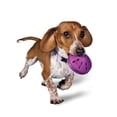 thumbnail image 1 of Dispensador de juguetes para perros PetSafe Busy Buddy Twist 'n Treat pequeño, 1 of 6