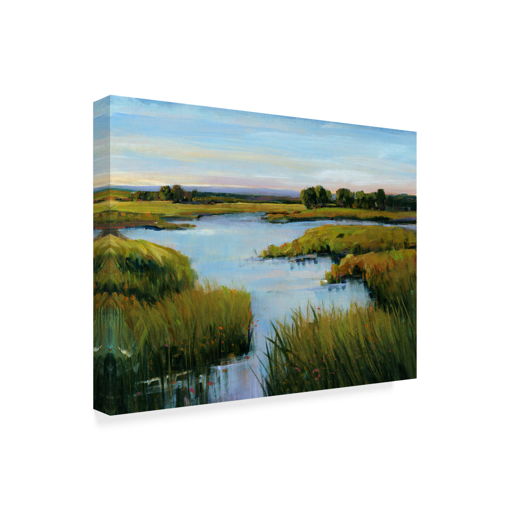 Trademark Fine Art 'At the Edge I' Canvas Art by Tim OToole