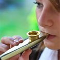 thumbnail image 4 of JUNWELLKazoos Musical Instruments 6 Different Colors of Metal Kazoos for Kids Guitar  Ukulele  Violin  Piano Keyboard, 4 of 8