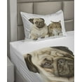 thumbnail image 2 of Ambesonne Animal Fitted & Top Sheet Set with Sham, Pets Sitting Studio Shot, Brown Beige, 2 of 4