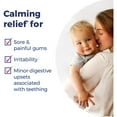 thumbnail image 5 of Boiron Camilia Teething Relief for Babies - 30 Liquid Doses, Painful Gums and Irritability, 5 of 11