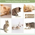 thumbnail image 6 of CLIQKWEN Sticks for Cats, Natural Dental Chews for Teeth Cleaning & Gum Health, Kitten Chew Toys with Catnip Alternative, 6 of 7