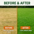 thumbnail image 3 of GS Plant Foods Green Envy Grass Grasses Liquid Fertilizer Concentrate, 1 Gallon with Turf Care & Healthy Grass, 3 of 9