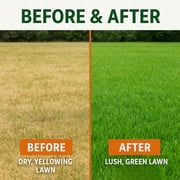 GS Plant Foods Green Envy Grass Grasses Liquid Fertilizer Concentrate, 1 Gallon with Turf Care & Healthy Grass