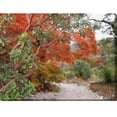 thumbnail image 2 of Outdoor Living and Style Orange and Green Madrone and Maple Outdoor Canvas Rectangular Wall Art, 2 of 2