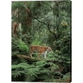 thumbnail image 1 of Great Art Now In the Jungle by Pangea Images, Canvas Wall Art, 20W x 28H, 1 of 2