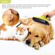 thumbnail image 4 of Cepillo autolimpiante Pecute para perros y gatos Eliminación eficaz de hasta el 95 % del pelo muerto y la capa interior Diseño ergonómico Depilación con un clic (cepillo autolimpiante) MFZFUKR QH-643, 4 of 8