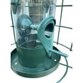 thumbnail image 2 of Garden Guru Squirrel Proof Bird Feeder – Outdoor Caged Tube Hanging Bird Feeder with 4 Perches for Small Wild Birds – Premium Coated Steel & Metal Seed Guard - Chew Proof, Weather Resistant, 2 of 5