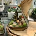 thumbnail image 4 of WGV Black Raised Pyramid Geometric Glass Terrarium - 6" Wide x 8" Height, Good quality Terrarium - 1 Pc, 4 of 6