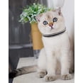 thumbnail image 2 of Mumup 1Pack Suede Breakaway Cat Collar with Sparkling Rhinestones & Bell - Soft Adjustable Safe Release Kitten CollaCats, 2 of 7