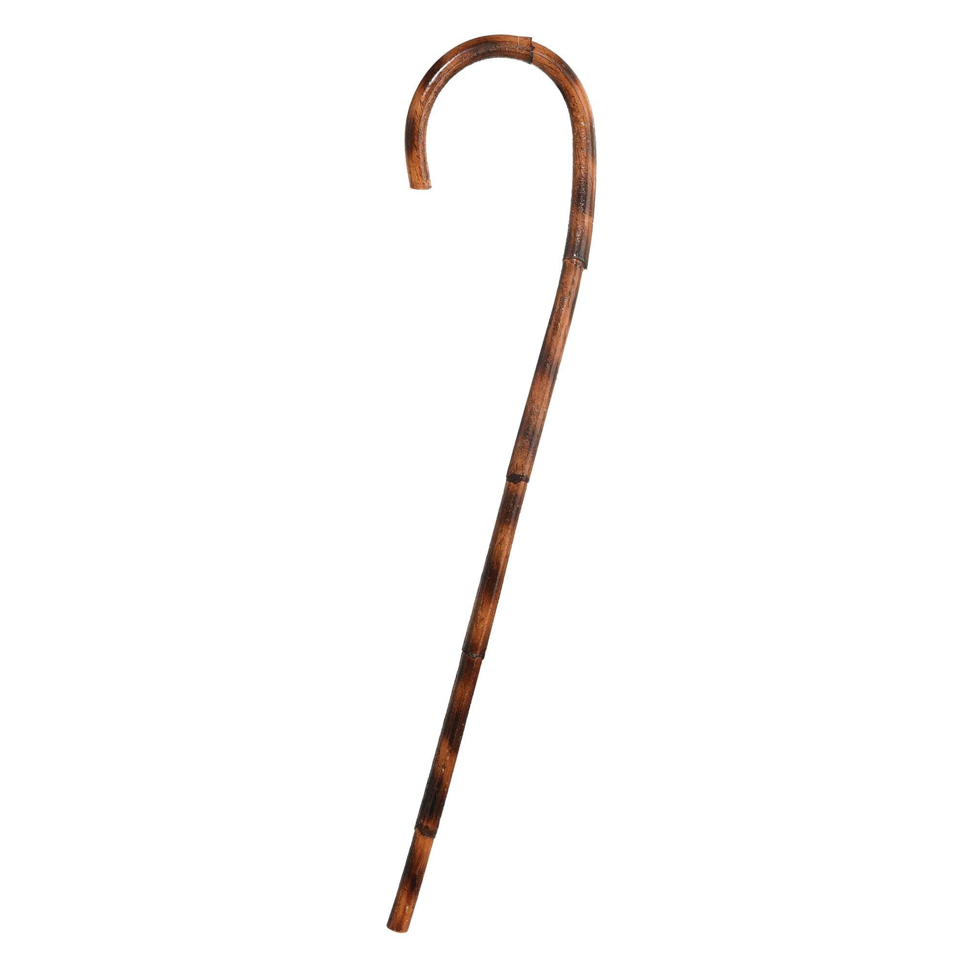 100th Day of School Walking Cane