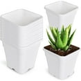 thumbnail image 3 of EPOTOOR 10 PCS Re-usable Square Nursery Pot 1/2/3/5/8/10 Gallon Plastic Grow Pots Plant, 3 of 11