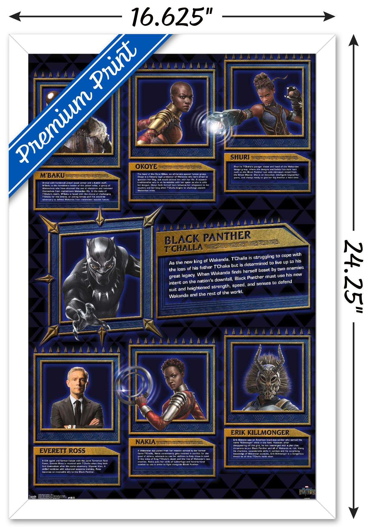 Marvel Cinematic Universe - Black Panther - Bios Wall Poster, 14.725" x 22.375", Framed