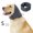 Gray Size S H5, variant on Dog Calming Hoodie, Anxiety Relief Winter Warm Hood for Dogs, Adjustable Noise Canceling Calming Hoodie with Thick Fabric Stress Relief Gift, Gray