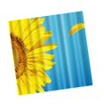 thumbnail image 4 of Nuevas y modernas cortinas de para , girasol, extra de 180 cm con anillos, impermeables, no tóxicas, ecológicas, sin olores químicos, BLESIY Cortina de ducha con ganchos, 4 of 7