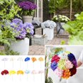 thumbnail image 1 of Fiudx Flores Artificiales de Hortensia, Ramo de Hortensia de Seda, Sin Mantenimiento, Decoración para Interiores y Exteriores, Decoración para Bodas, Diseño Elegante, Morado y Fucsia, 38 Cm de Alto., 1 of 2