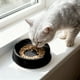 thumbnail image 5 of Los Cuencos de Comida para Gatos de Plástico Negro 18.5x15x6.3cm Pueden Alimentar a Gatos para Gatos de Alimentación Diaria, 5 of 6