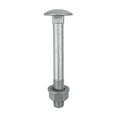 thumbnail image 1 of Timco - Carriage Bolts Hex Nuts & Form A Washers - Dome - Exterior - Silver (Size M8 x 50 - 10 Pieces), 1 of 1