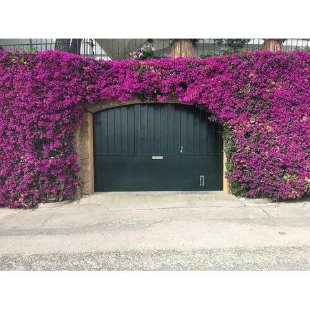 - Peel-n-Stick Poster of Flowers Porches Gate Poster 24x16 Adhesive Sticker Poster Print