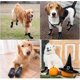 thumbnail image 4 of 4 calcetines protectores de patas para perros, calcetines antideslizantes para perros para uso en interiores, calcetines para perros con refuerzo de goma para perros pequeños, medianos y grandes Rojo Verde Cocina, Decoración y Otros, 4 of 4