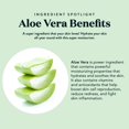 thumbnail image 3 of Spray de aloe BARE BOTANICS refrescante para piel y cabello, 355 ml, 3 of 5