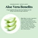 thumbnail image 3 of Spray de aloe BARE BOTANICS refrescante para piel y cabello, 355 ml, 3 of 5