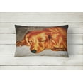 thumbnail image 2 of Carolines Treasures AMB1202PW1216 Coussin Décoratif en Tissu Rouge Longhaired Dachshund, 2 of 3