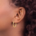 thumbnail image 4 of 14K Yellow Gold Women's Medium Lightweight Tube Hoop Earrings, 4 of 4