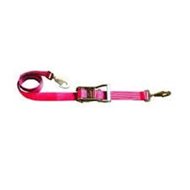 2 Po. x 10 Pi. Combo Cliquet & Sangle d'Essieu avec Crochet Rotatif & Sangle d'Essieu Réglable, Rose - 12 Pcs