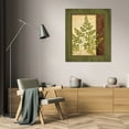 thumbnail image 3 of Delphine Corbin 26x32 Gallery Wrapped Canvas Wall Art Titled - Fern Grotto IV, 3 of 4