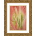 thumbnail image 1 of Murdock, Ramona 11x14 Gold Ornate Wood Framed with Double Matting Museum Art Print Titled - Kalanchoe Luciae Succulent, 1 of 4