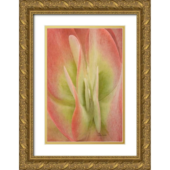 Murdock, Ramona 11x14 Gold Ornate Wood Framed with Double Matting Museum Art Print Titled - Kalanchoe Luciae Succulent