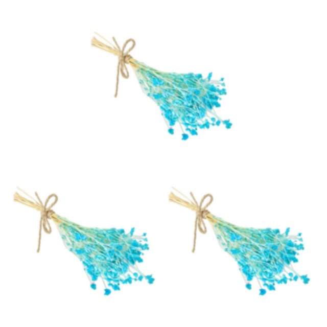 Advancent Mini ramo de flores secas, artesanía DIY, exquisito, decorativo, atractivo, calcomanía para graduación, tarjeta de aniversario, Type1 NO1