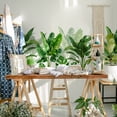 thumbnail image 2 of Pegatinas Pared Decorativas onlyliua para Sala de Estar Dormitorio Fondo Tropical Verde, 2 of 6