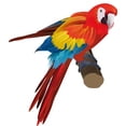 thumbnail image 2 of Parrot Wall Decal by Wallmonkeys Peel and Stick Graphic (18 in H x 16 in W) WM268253, 2 of 4