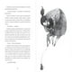 thumbnail image 3 of EL FANTASMA SIN RECUERDOS Y OTRAS HISTORIAS PARA NIÑOS EXTRAÑOS PLANETALECTOR MEXICO JONATHAN MINILA, 3 of 3